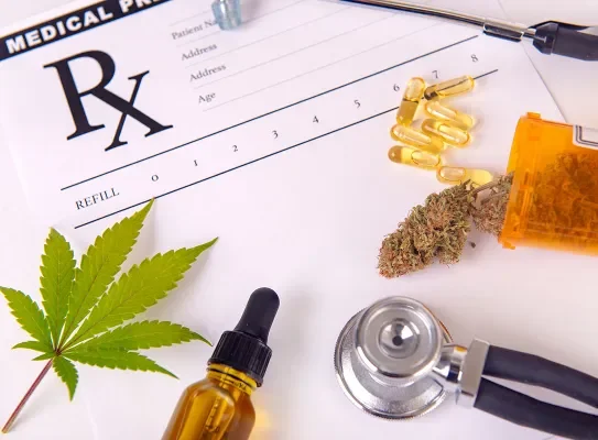 Cannabis sous plusieurs formes pour usage médical