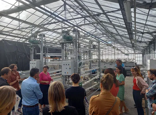 Rencontre du réseau Innovez sous les serres du CRITT Horticole de Rochefort