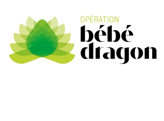 Opération bébé dragon