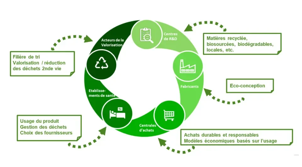 Schéma de la chaine de valeur de la santé durable et actions Loop Santé