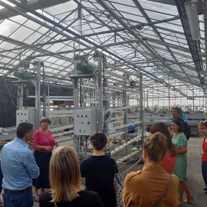 Rencontre du réseau Innovez sous les serres du CRITT Horticole de Rochefort