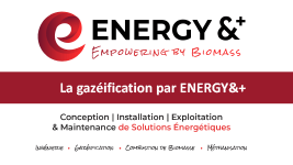 Energy &+ - Webinaire Chaleur 17 juin 2021