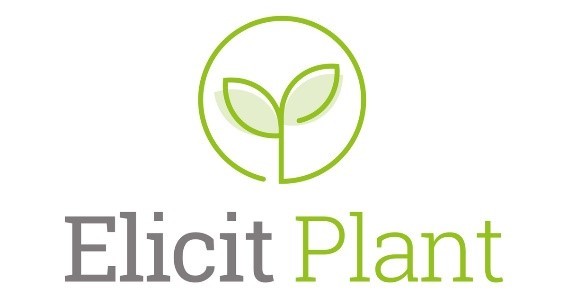 Elicit Plant